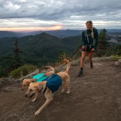 Ruffwear Front Range Day Pack