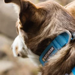 Ruffwear Hi & Light Collar
