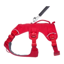 Ruffwear Webmaster Harness