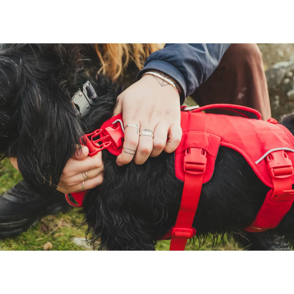 Ruffwear Webmaster Harness