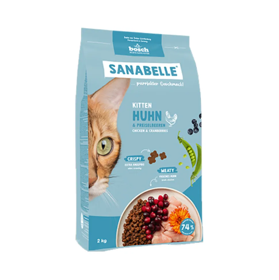 Sanabelle Kitten