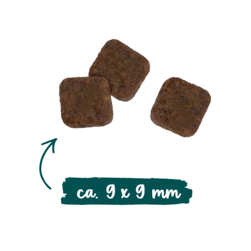 Sanabelle Outdoor