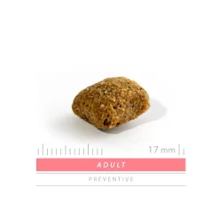 Sanimed Adult Dog