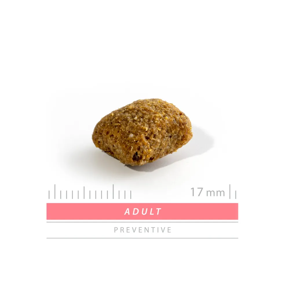 Sanimed Adult Dog