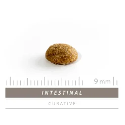 Sanimed Intestinal Cat