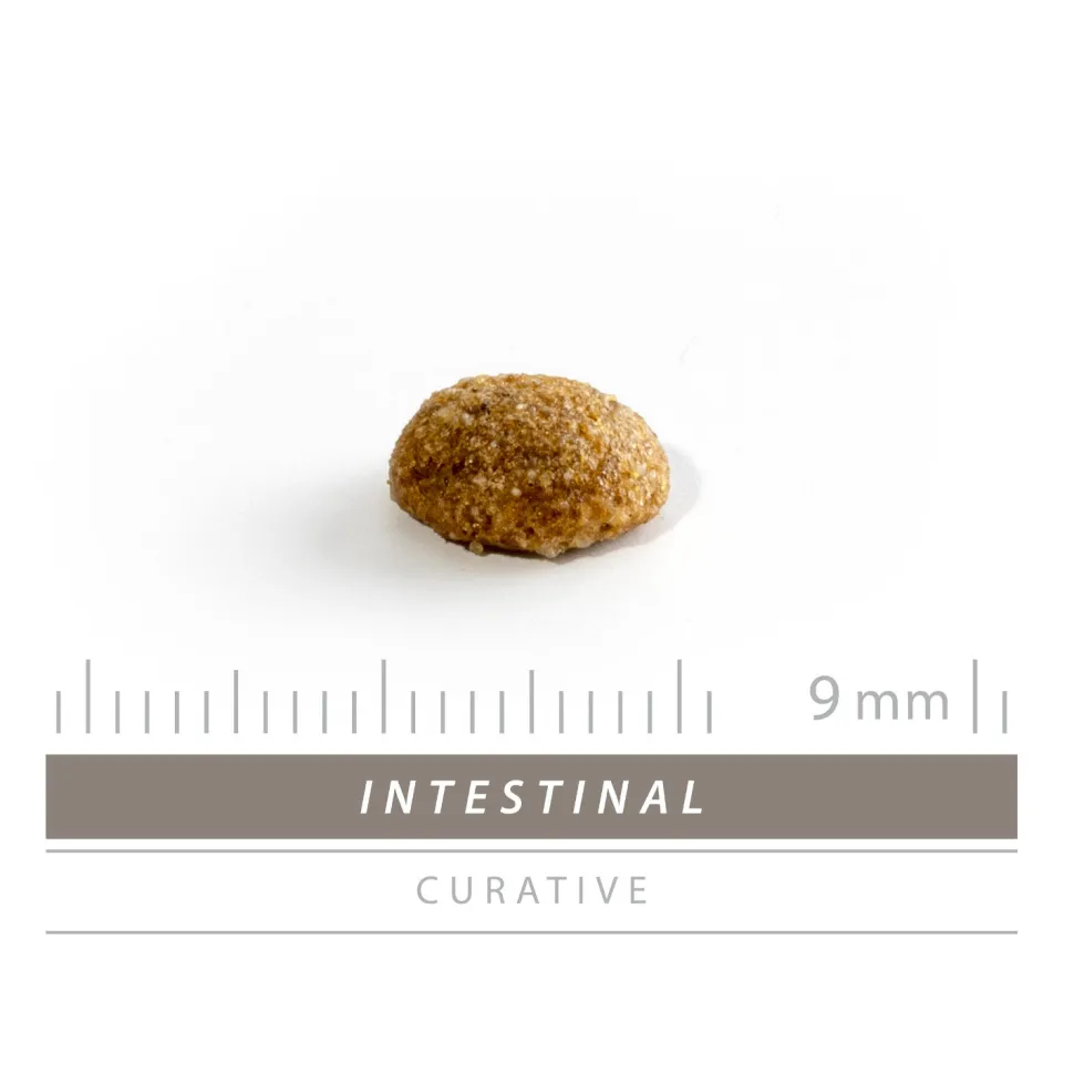 Sanimed Intestinal Cat