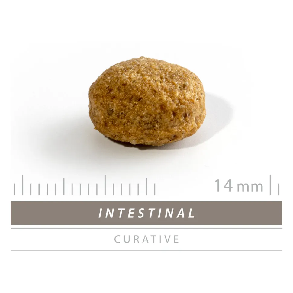Sanimed Intestinal Dog