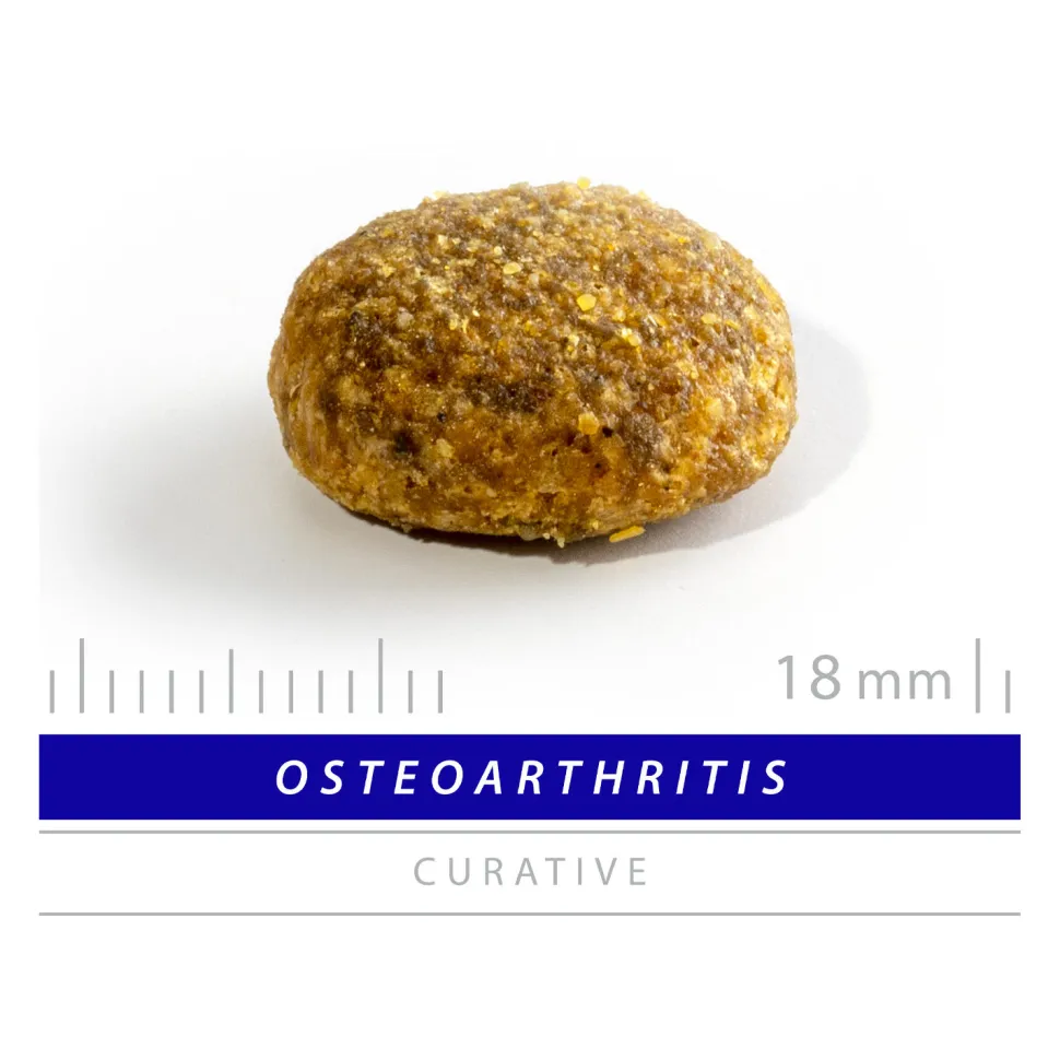 Sanimed Osteoarthritis Dog