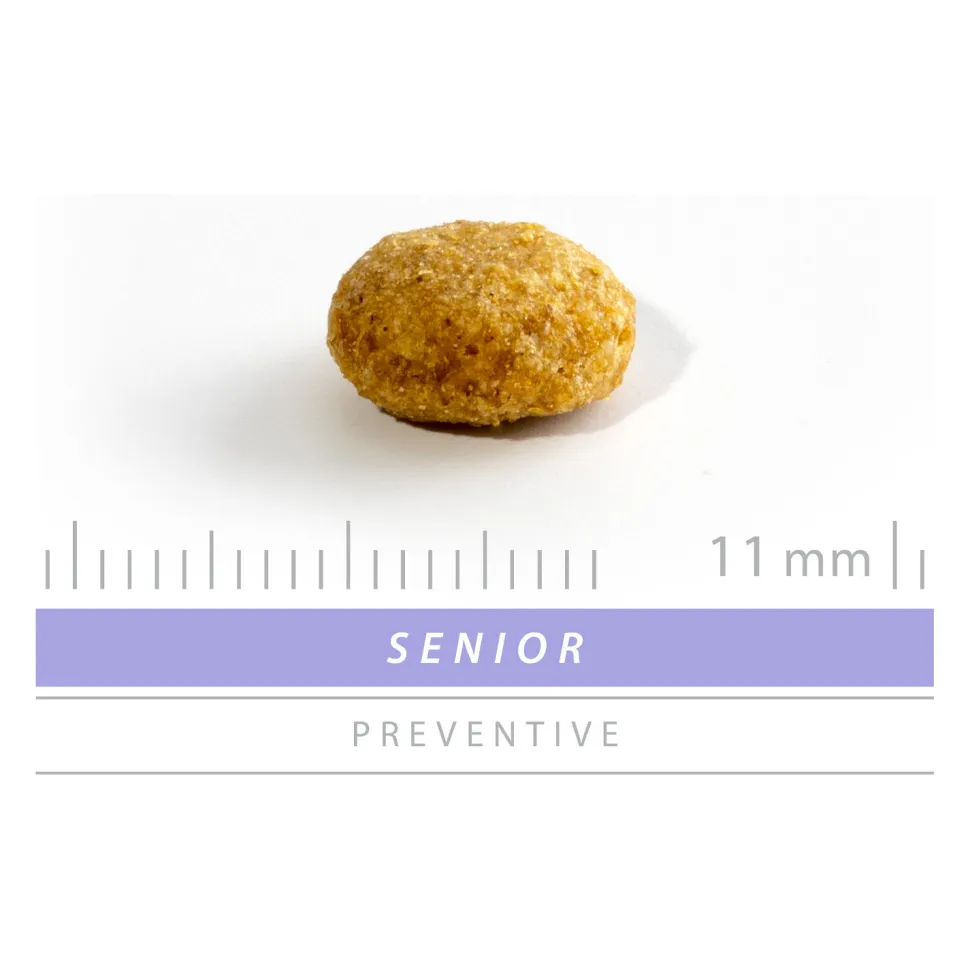 Sanimed Senior Cat
