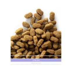 Sanimed Senior Dog