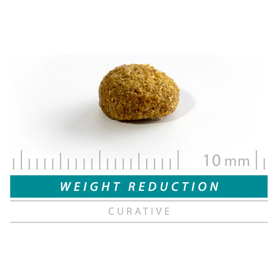 Sanimed Weight Reduction Cat