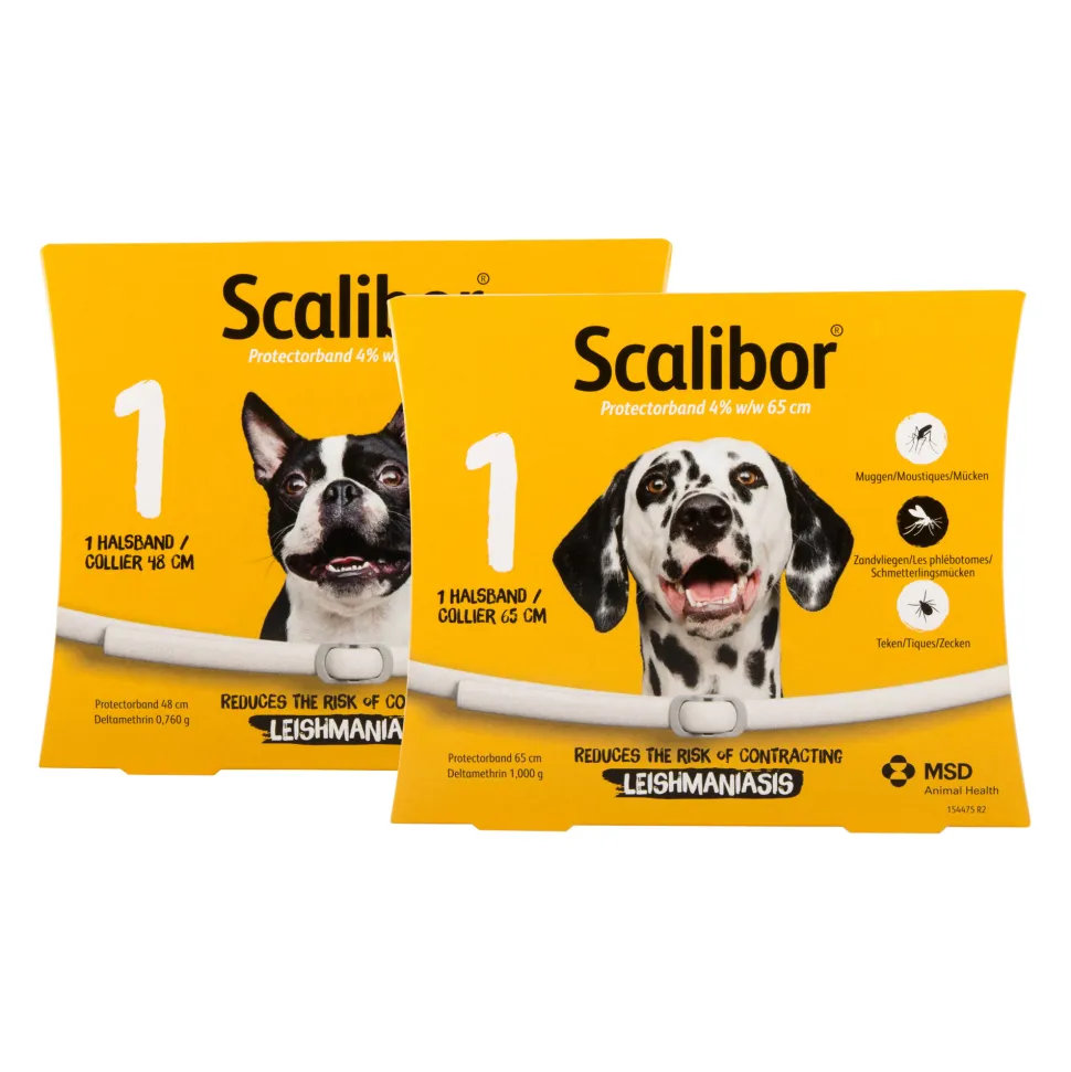Scalibor Protectorband