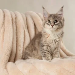 Scruffs Aspen Blanket