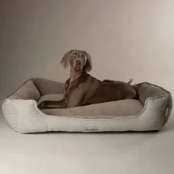 Scruffs Harvard Orthopedisch Box Bed