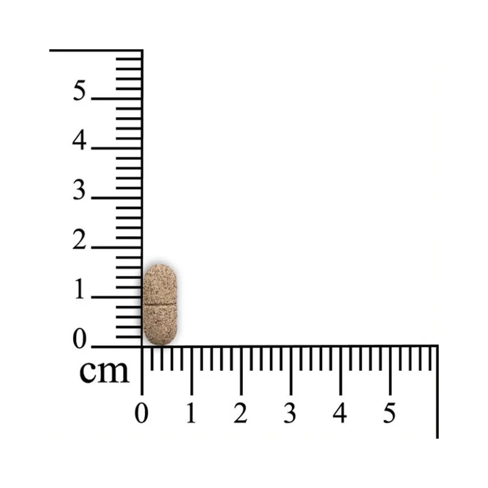 Sensipharm Smooth Locomotion - Paard