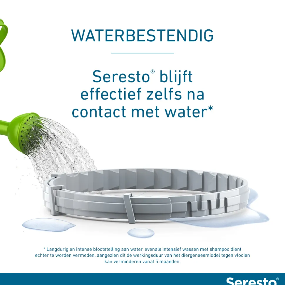 Seresto Hond
