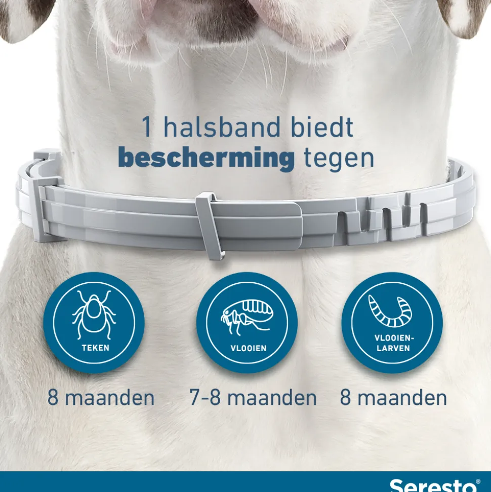 Seresto Hond