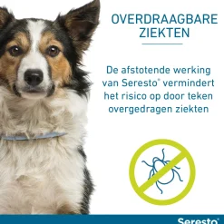 Seresto Hond