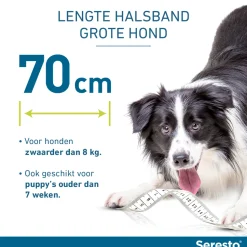 Seresto Hond