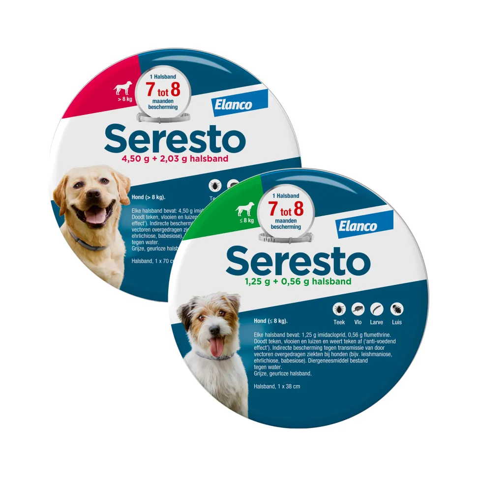 Seresto Hond