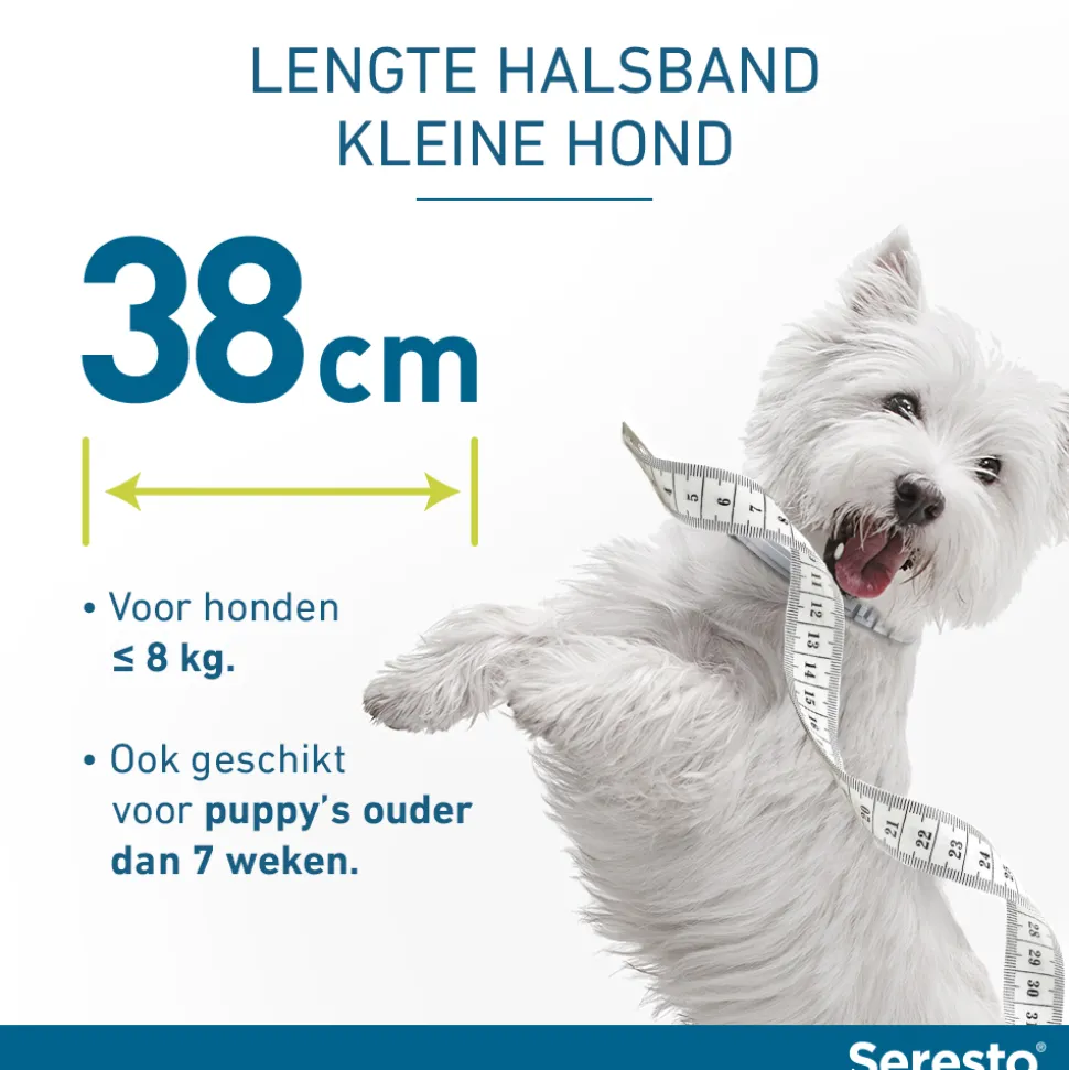 Seresto Hond
