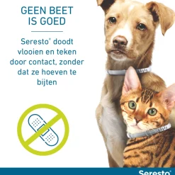Seresto Kat