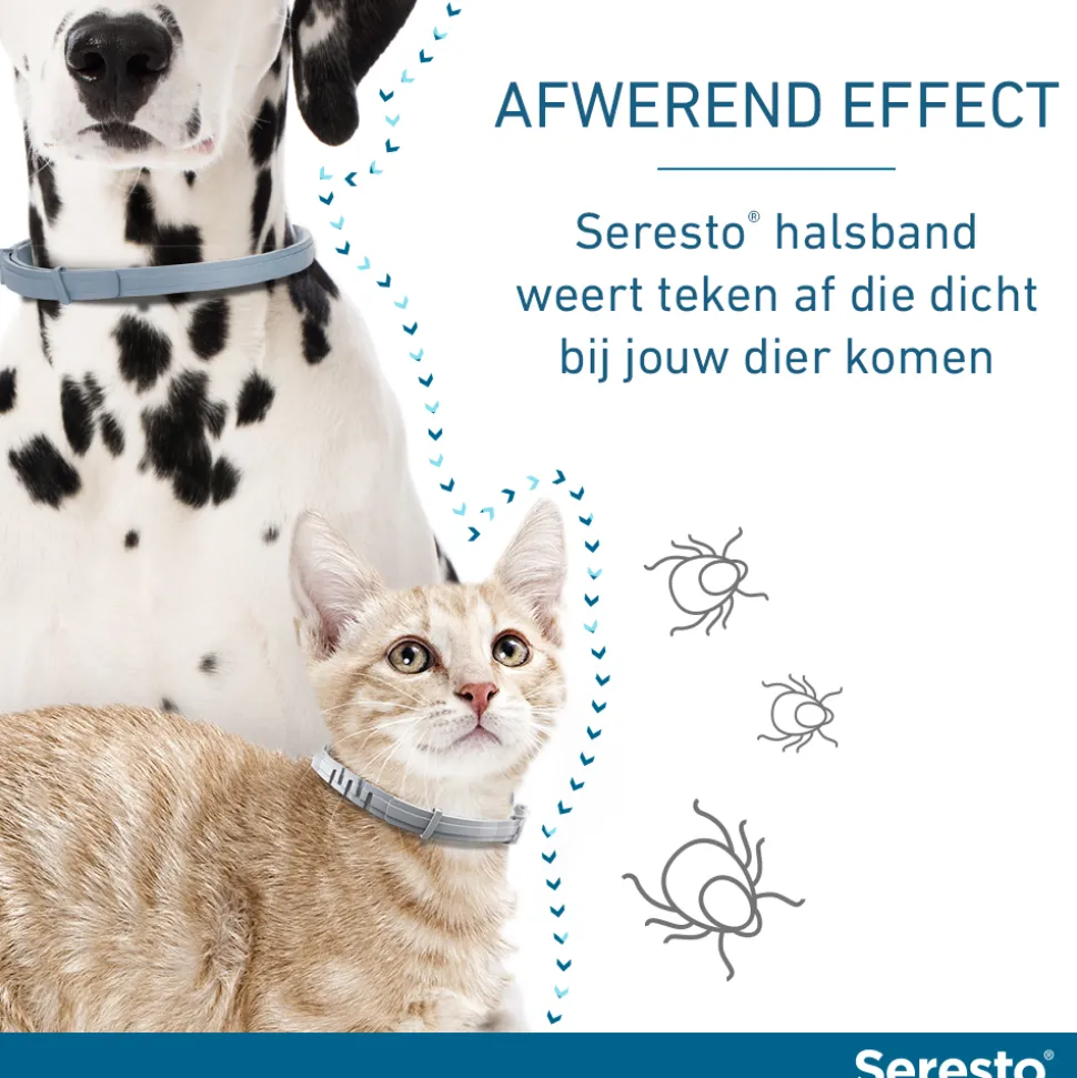 Seresto Kat