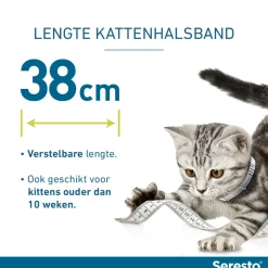 Seresto Kat