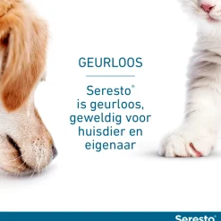 Seresto Kat