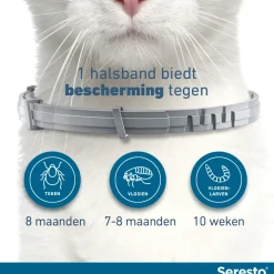 Seresto Kat
