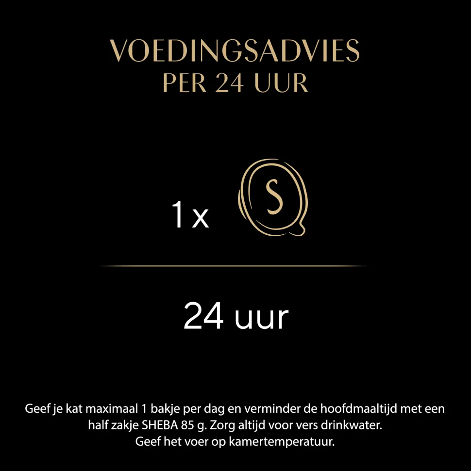 Sheba Filets - Kip met Tonijn in Saus