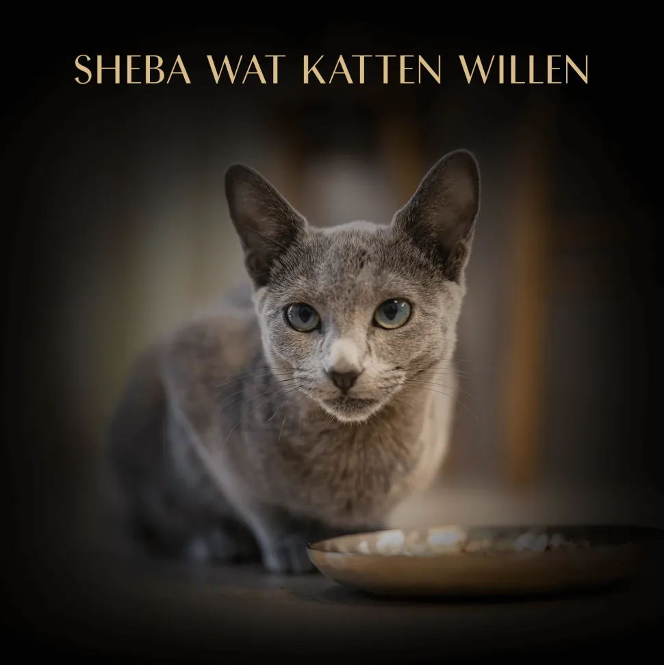 Sheba Filets - Kip met Tonijn in Saus