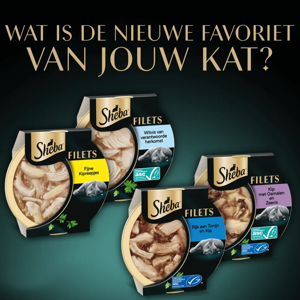Sheba Filets - Kip met Tonijn in Saus