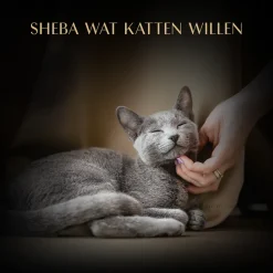 Sheba Soup Tonijn