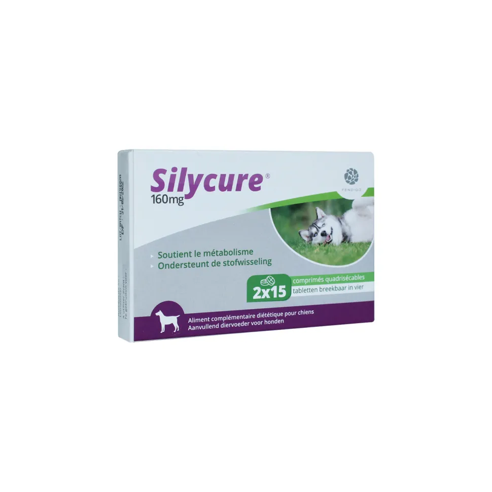 Silycure