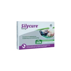 Silycure