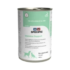 Specific Intensive Support F/C-IN-L