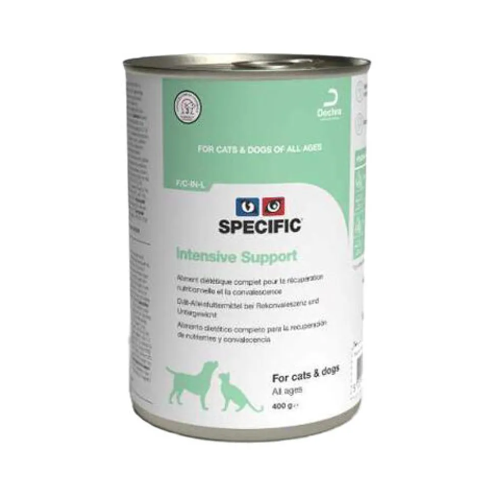 Specific Intensive Support F/C-IN-L
