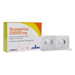 Strantel Kat