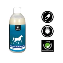 Synovium Ginger MSM Liniment