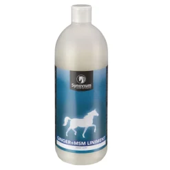 Synovium Ginger MSM Liniment