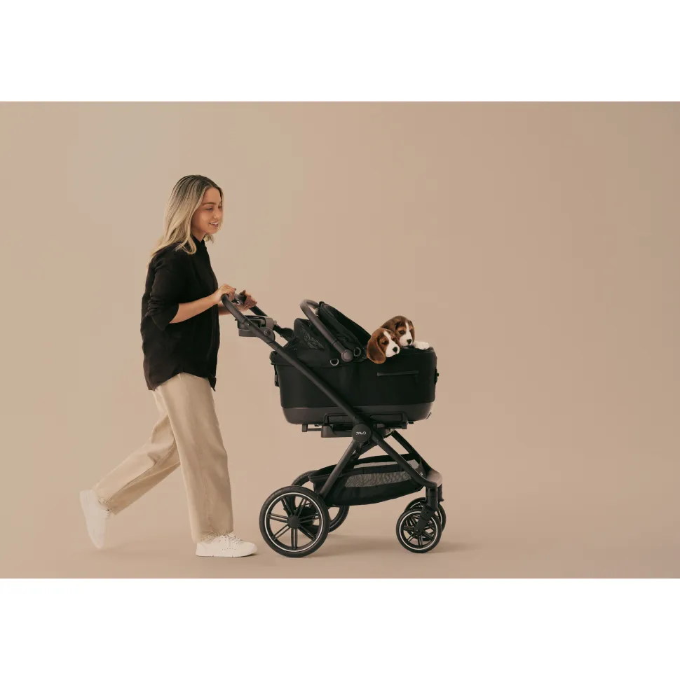Tavo Pets Roscoe Trek