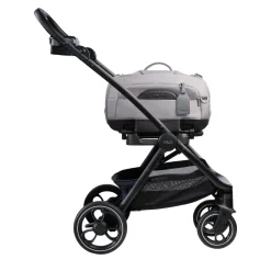 Tavo Pets Roscoe Trek