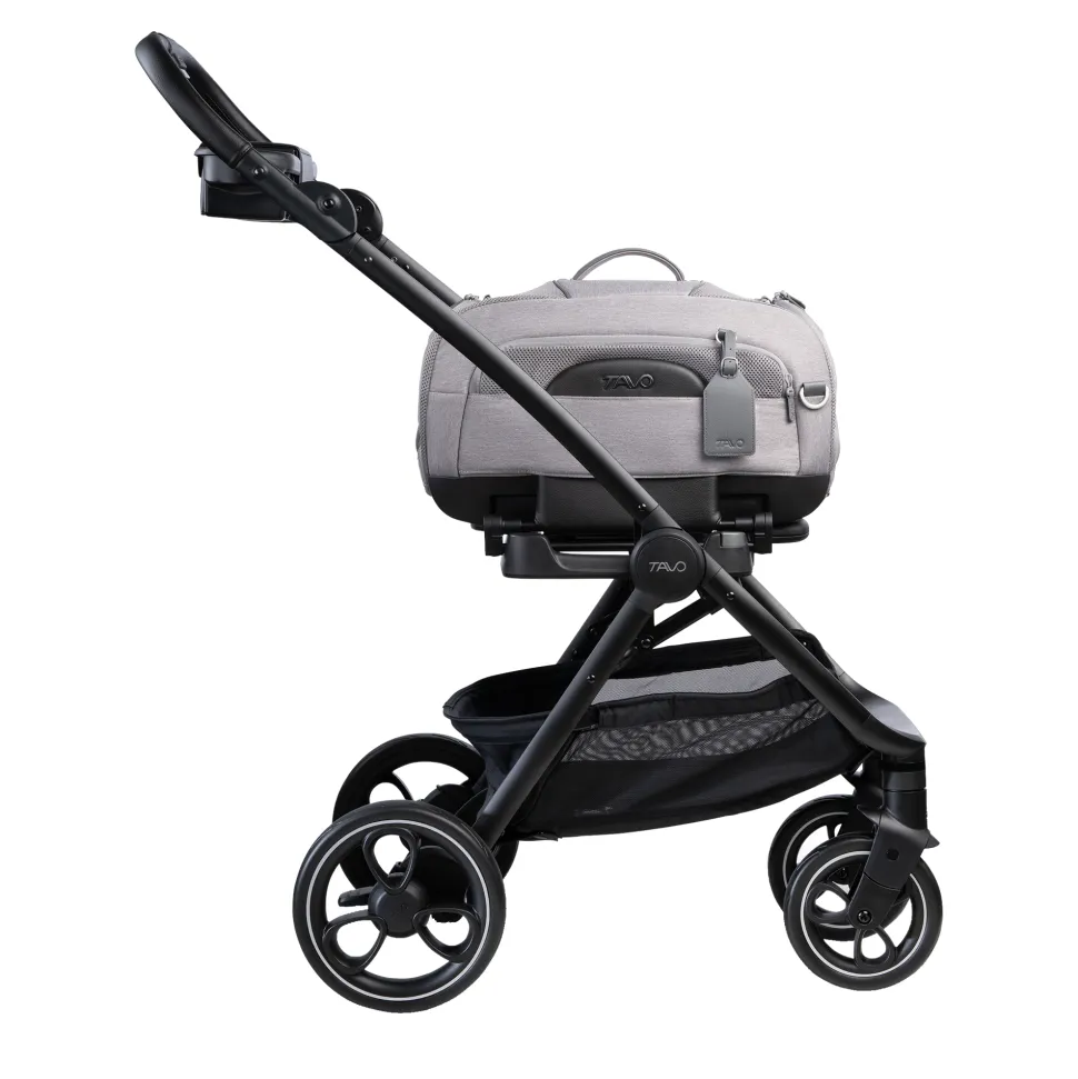 Tavo Pets Roscoe Trek