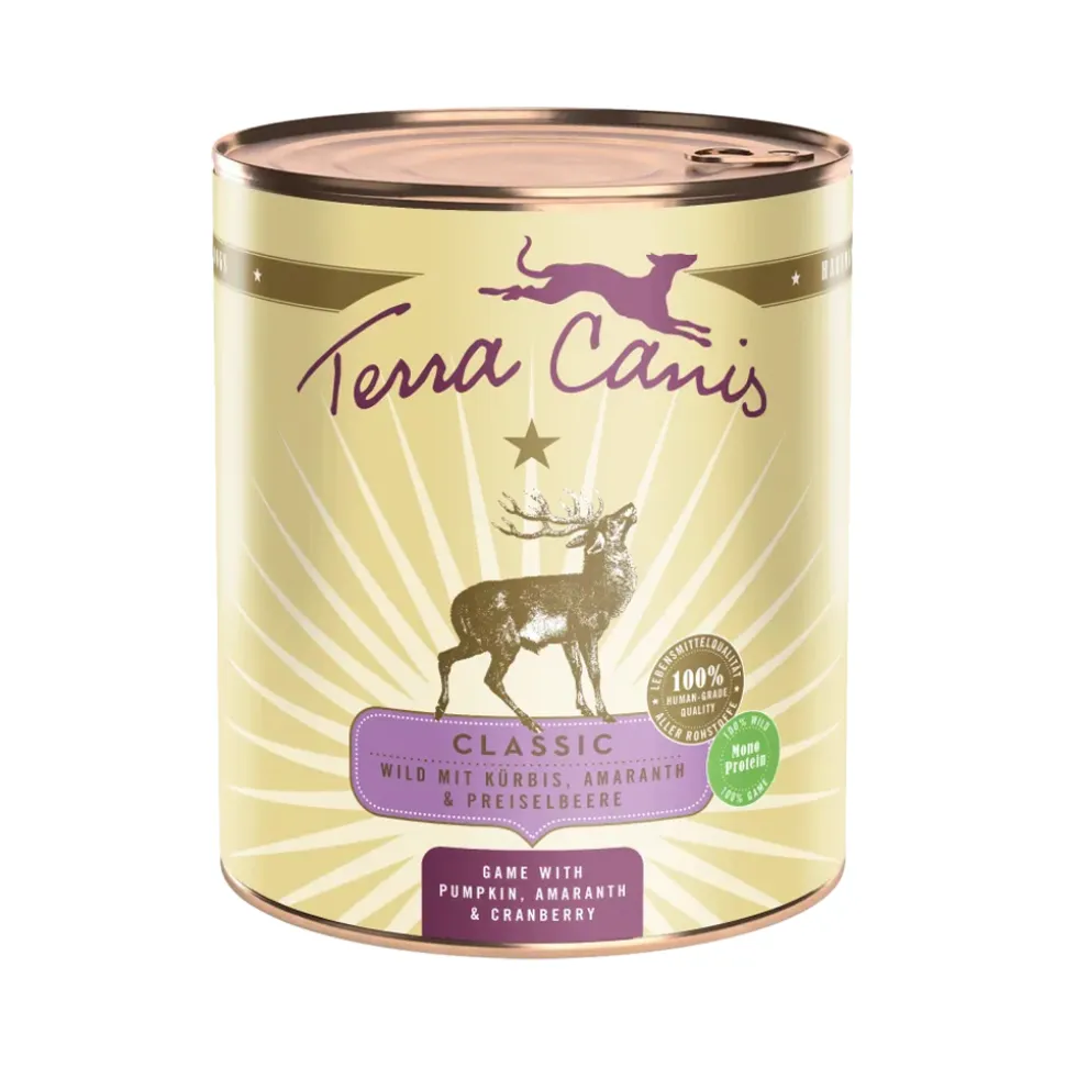 Terra Canis Classic Game with Pumpkin