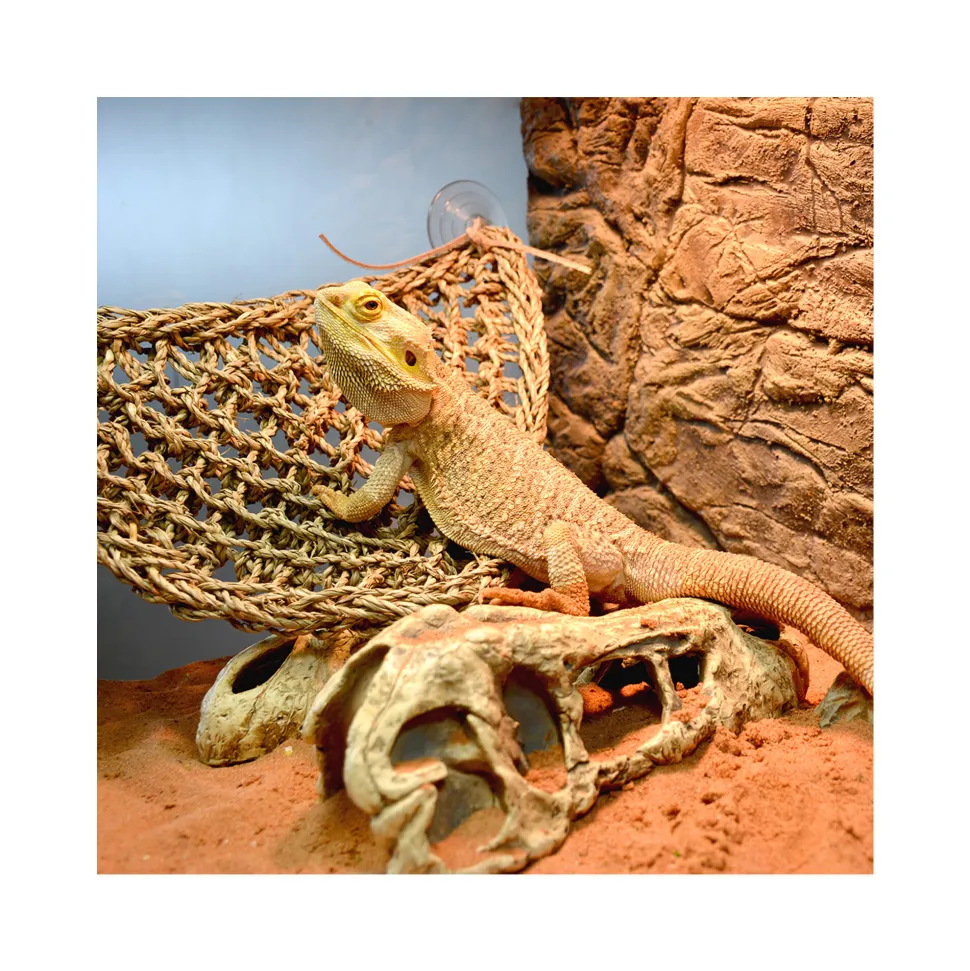Terra Della Reptiel Relaxer Triangel