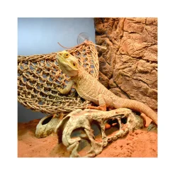 Terra Della Reptiel Relaxer Triangel + Ladder