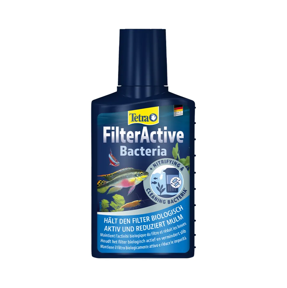 Tetra FilterActive