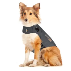 Thundershirt Hond
