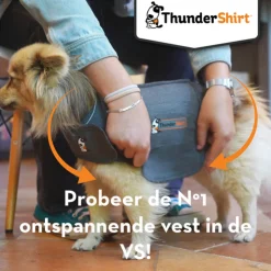 Thundershirt Hond